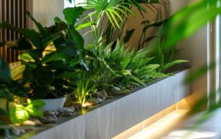 Ông bà bảo: Khí tốt thì người vượng, cửa sạch thì nhà hưng